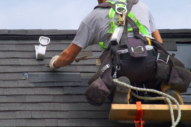 Affordable siding repair and maintenance services in Kelly Ridge, CA