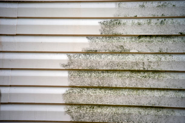 Best Siding for New Construction  in Kelly Ridge, CA